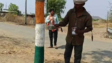 हदगाव तालुक्यांतील उमरी जहागीर येथील वृक्षप्रेमी संजय लगड यांनी  स्वखर्चाने श्रमदानातून झाडांना रंगरंगोटी करत केले वृक्ष संवर्धन…