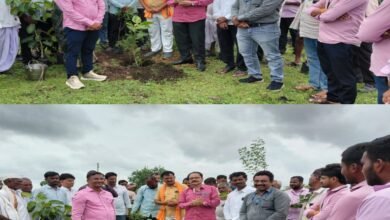 कृषी दिनानिमित्त ताकबीड ग्रामपंचायतने केले वर्क्ष लागवड .