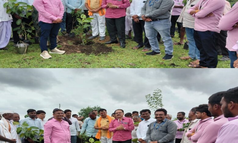 कृषी दिनानिमित्त ताकबीड ग्रामपंचायतने केले वर्क्ष लागवड . कृषी दिनानिमित्त ताकबीड ग्रामपंचायतने केले वर्क्ष लागवड .