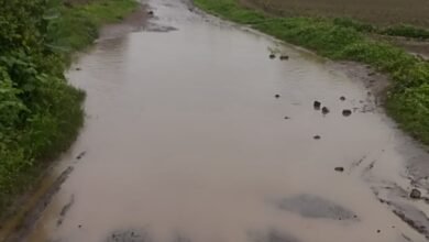 केरोळी फाटा गुंडवळ तांदळा इवळेश्वर रस्त्याची तात्काळ दुरुस्ती करा अन्यथा रास्ता रोको आंदोलन!.