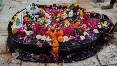 १०८ कावडींचा भक्तिमय महासोहळा — श्री शंभो ग्रुप नायगाव बाजार तर्फे श्रावणात गंगाजल महाअभिषेक यात्रा.