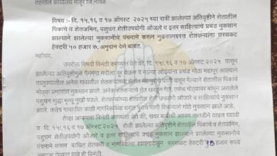 अतिवृष्टी नुकसानग्रस्त शेतकऱ्यांच्या नुकसानीचे तातडीने पंचनामे करा! माहूर तालुका काँग्रेस कमिटीचे तहसीलदारांना निवेदन .