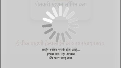 पीक विमा नोंदणीला ३० ऑगस्टपर्यंत मुदतवाढ; मात्र पोर्टलवर पिके न दाखवल्याने शेतकरी चिंतेत, तातडीने उपाययोजना करावयाची मागणी.