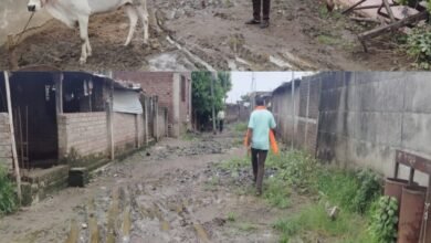 पुनर्वसीत लिंबायतवासीय भोगात आहेत नरक यातना ; चाळीस वर्षांपूर्वी पुनर्वसन होऊनही मूलभूत सुविधा पासून मौजे लिंबायत वंचित.!.