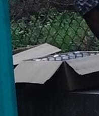 ड्राय डे च्या दिवशी अवैध देशी व विदेशी दारू खुल्याआम विक्री.कुंटूर पोलीस,व उत्पादक विभाचे दुर्लक्ष. ड्राय डे च्या दिवशी अवैध देशी व विदेशी दारू खुल्याआम विक्री.कुंटूर पोलीस,व उत्पादक विभाचे दुर्लक्ष.