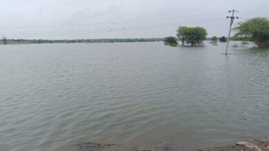 चार दिवसापासून कुंटूर परिसराला पुराचा वेढा गावातील नागरिकांना शेताकडे हि जाता येत नाही जनावरांना चाराही आणता येत नाही अद्यापही जनजीवन विस्कळीत .. लोकप्रतिनिधी निवडणूक आली की गावात येतात नागरिकांच्या समस्या असल्या की पळून जातात!.