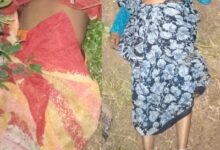 पाचुंदा येथील शेतात अज्ञात चोरट्याने दागिने लुटून दोन महिलांची हत्या केल्याची घटना घडली आहे .