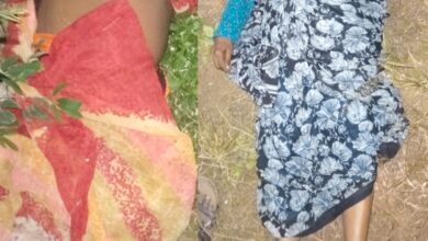 पाचुंदा येथील शेतात अज्ञात चोरट्याने दागिने लुटून दोन महिलांची हत्या केल्याची घटना घडली आहे .