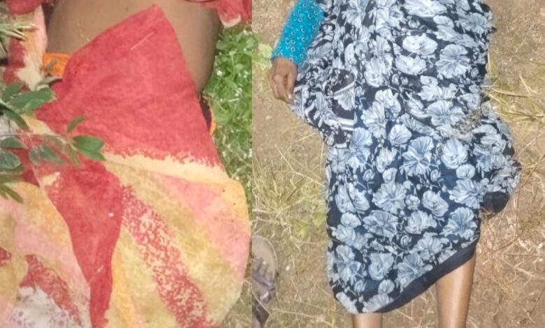 पाचुंदा येथील शेतात अज्ञात चोरट्याने दागिने लुटून दोन महिलांची हत्या केल्याची घटना घडली आहे . पाचुंदा येथील शेतात अज्ञात चोरट्याने दागिने लुटून दोन महिलांची हत्या केल्याची घटना घडली आहे .