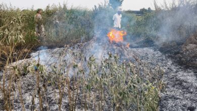 कोपरा येथे पुन्हा एकदा सोयाबीनच्या गंजीला आग – शेतकऱ्यांमध्ये भीतीचे वातावरण!.
