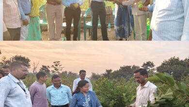 अरविंद सूर्यवंशी यांच्या पेरू बागेला अप्पर जिल्हाधिकारी डॉ.रत्नदीप गायकवाड यांची भेट!.