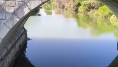 नांदेड : अर्धापूर तालुक्यातील गणुपुर येथील नदीत अनोळखी व्यक्ती चा मृतदेह आढळला.