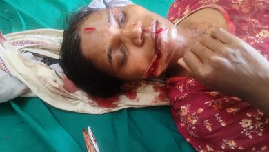 शेतात काम करणाऱ्या महिलेवर बिबट्याचा हल्ला ; महिलेचे मुंडके जबड्यात पकडल्याने झाल्या गंभीर जखमा।.