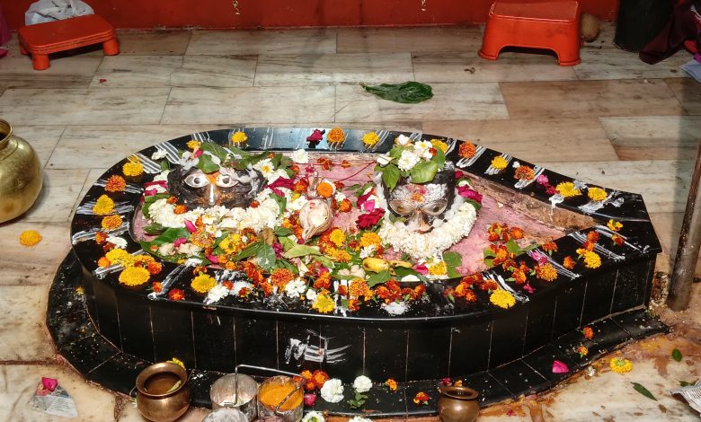 हर हर महादेवच्या गजराने दुमदुमले श्रीक्षेत्र गंगणबीड; आज सचिन महाराज ढोले यांच्या कीर्तनाने सांगता. हर हर महादेवच्या गजराने दुमदुमले श्रीक्षेत्र गंगणबीड; आज सचिन महाराज ढोले यांच्या कीर्तनाने सांगता.