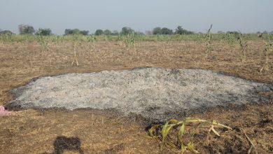 रातोळी येथे हरभऱ्याच्या ढिगाऱ्याला अज्ञातांकडून आग; दोन लाखांचे नुकसान.