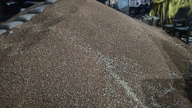 नाफेड खरेदी केंद्रांच्या मनमानीविरोधात शेतकऱ्यांचा इशारा.